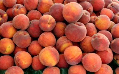 Keeping Healthy Teeth In Fruit Season